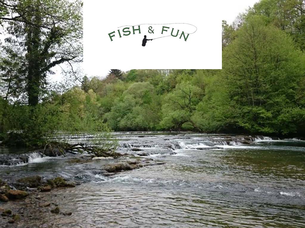 Fish and Fun