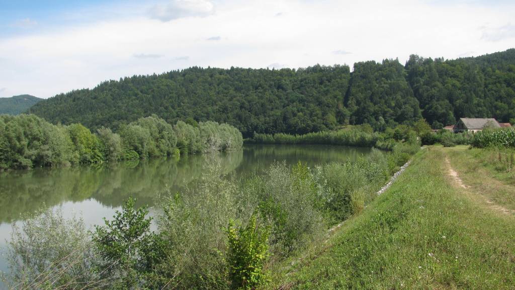 Sava Reka Bih Reka Sava (od HE Vrhovo do izliva Črnega potoka) - Ribiška družina ...