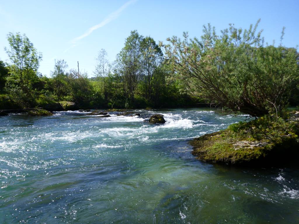 The river Sava (from Cajhnov's dam to Rakovnik) - Fishing family ...