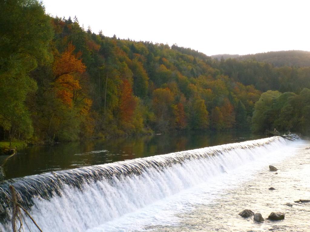 Reka Sava (Cajhnov jez do Rakovnik) - Ribiška družina Radovljica ...