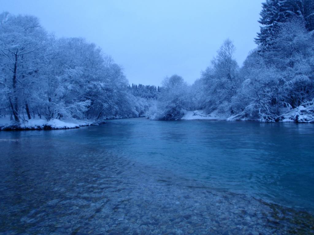 Sava Reka Bih Reka Sava (Cajhnov jez do Rakovnik) - Ribiška družina Radovljica ...