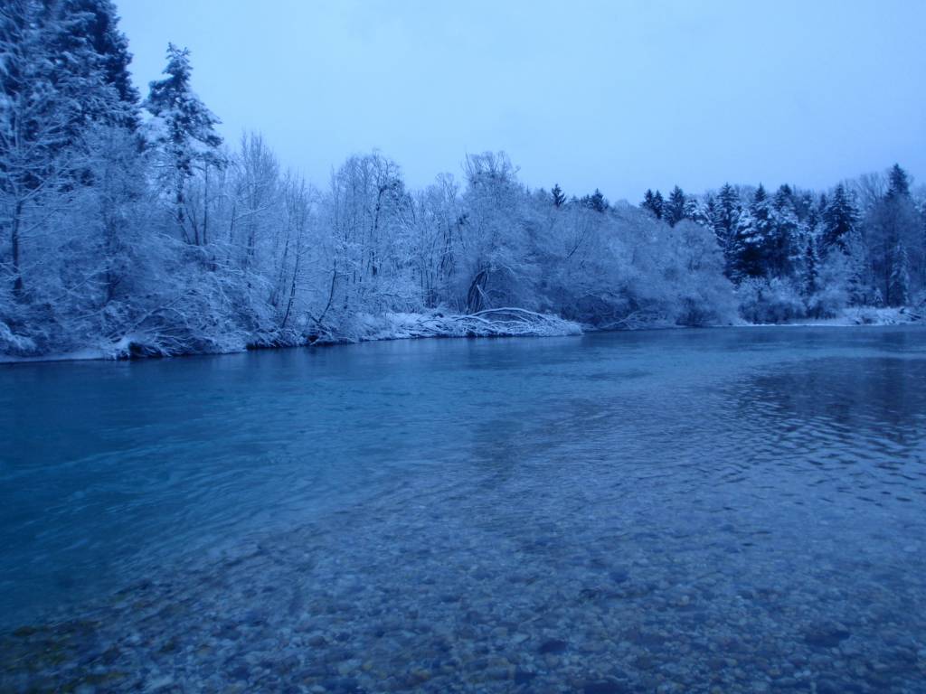 Sava Reka Bih Reka Sava (Cajhnov jez do Rakovnik) - Ribiška družina Radovljica ...