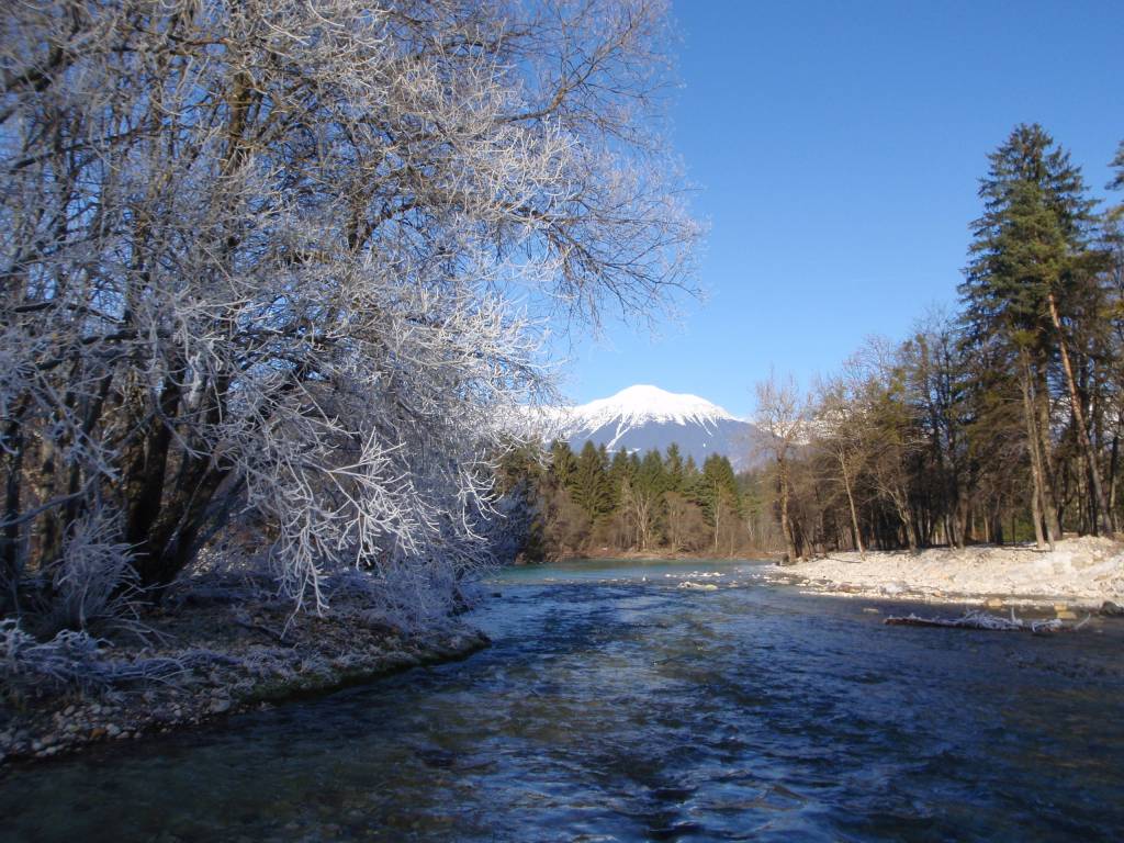 Sava Reka Bih Reka Sava (Cajhnov jez do Rakovnik) - Ribiška družina Radovljica ...