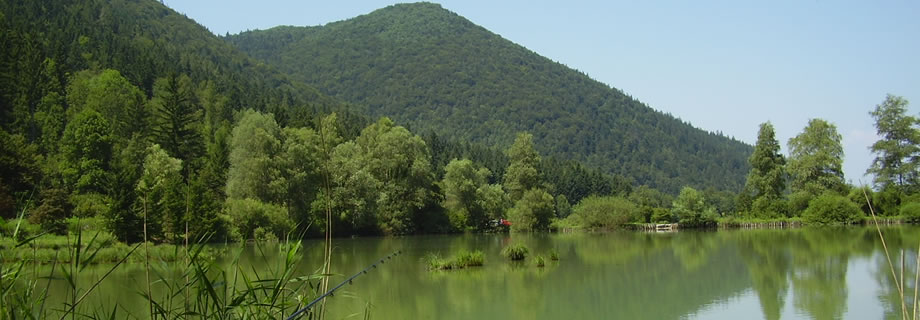pond Strahomer